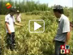 吉安電視臺報道